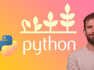 Remote Python Flask User Workspace Developer at DataExplorer