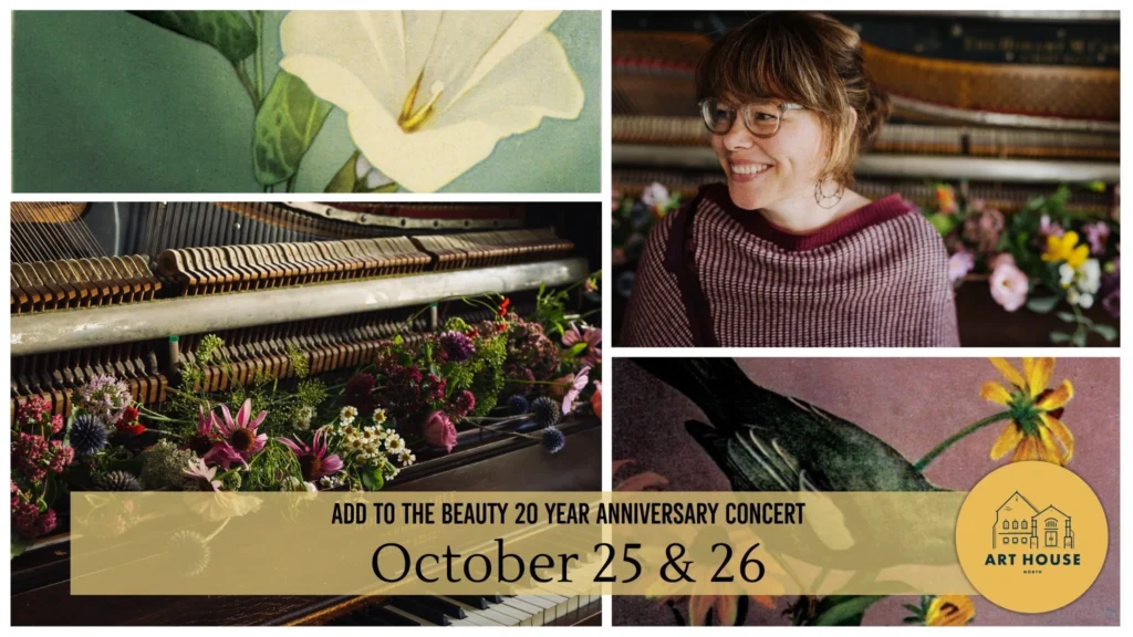 Out North Contemporary Art House Theatre