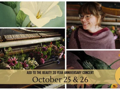 Out North Contemporary Art House Theatre