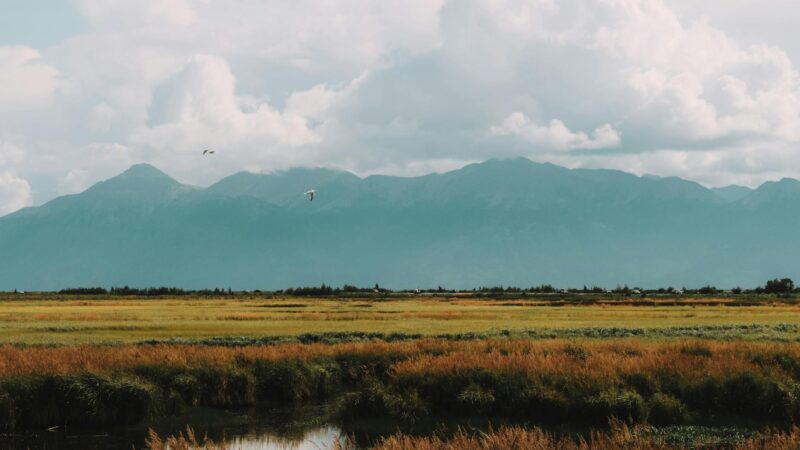 Best Day Trips from Anchorage Alaska