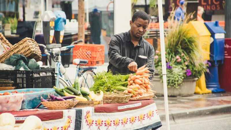 Anchorage Farmers Markets: A Complete Guide