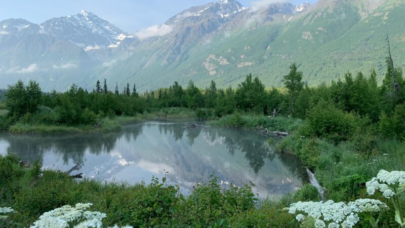 Hiking Near Anchorage: Best Trails for All Levels